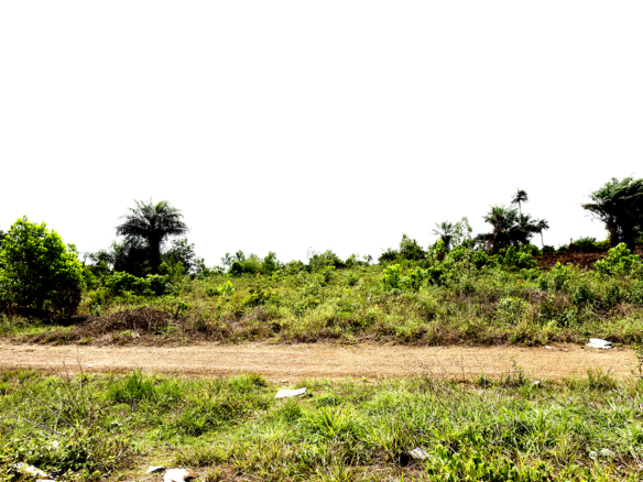 Land for sale behind Ricks Institute, Jameibo Village, Brewerville, Montserrado County.