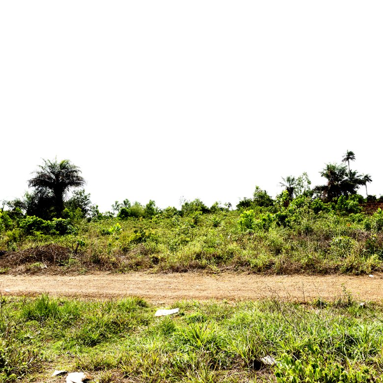 Land for sale behind Ricks Institute, Jameibo Village, Brewerville, Montserrado County.