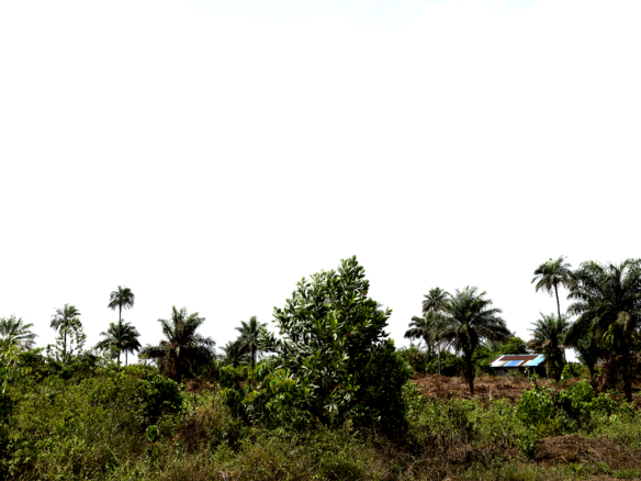 Land for sale behind Needowein Town, Margibi County, Minutes from Robert International Airport.