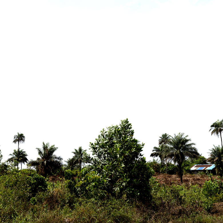 Land for sale behind Needowein Town, Margibi County, Minutes from Robert International Airport.