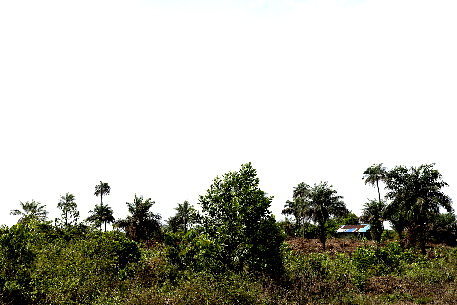 Land for sale behind Needowein Town, Margibi County, Minutes from Robert International Airport.