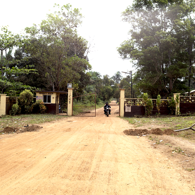 Land for sale behind Ricks Institute, Jameibo Village, Brewerville, Montserrado County.